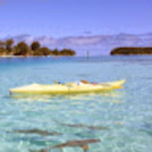 Meet your Posher, Delaney